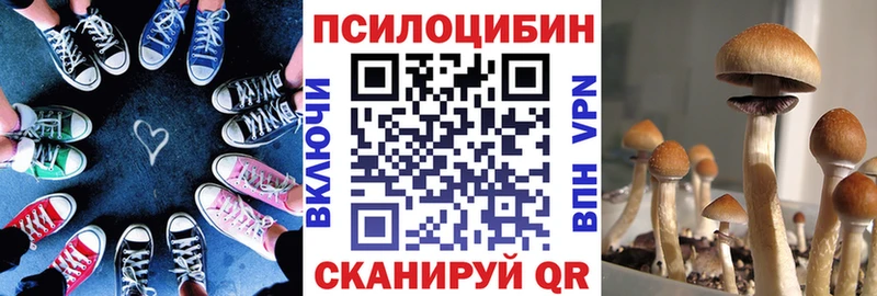 Галлюциногенные грибы MAGIC MUSHROOMS  Бологое 