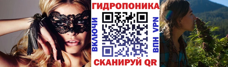 Шишки марихуана марихуана  Бологое 